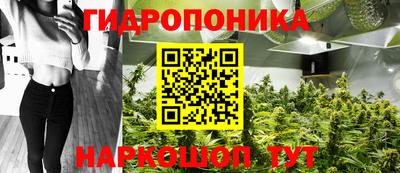 крисы Старая Купавна