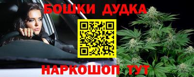 тгк Ставрополь