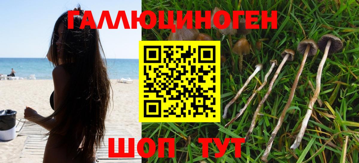 Псилоцибиновые грибы ЛСД  Галлюциногенные грибы Psilocybe  Вход с VPN  Петропавловск-Камчатский 