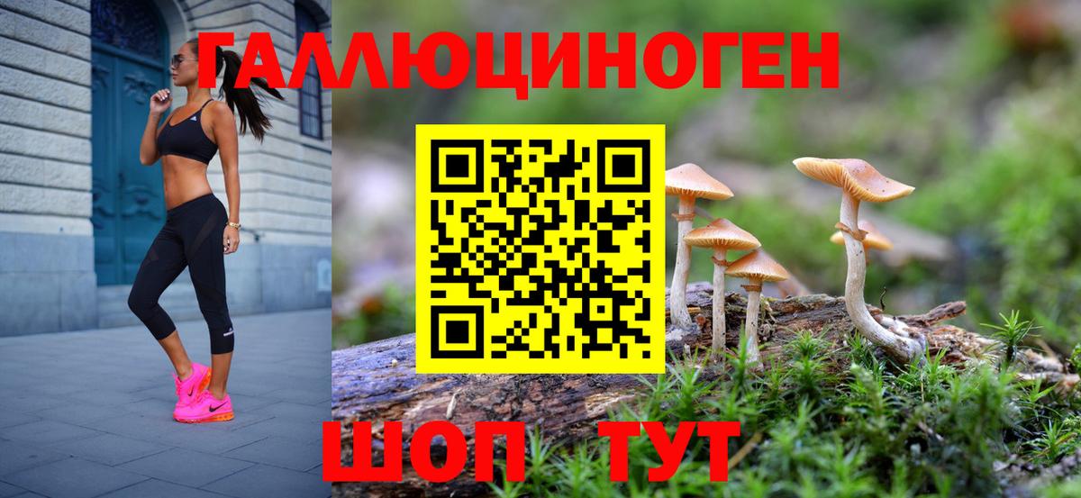 Галлюциногенные грибы Cubensis Петропавловск-Камчатский